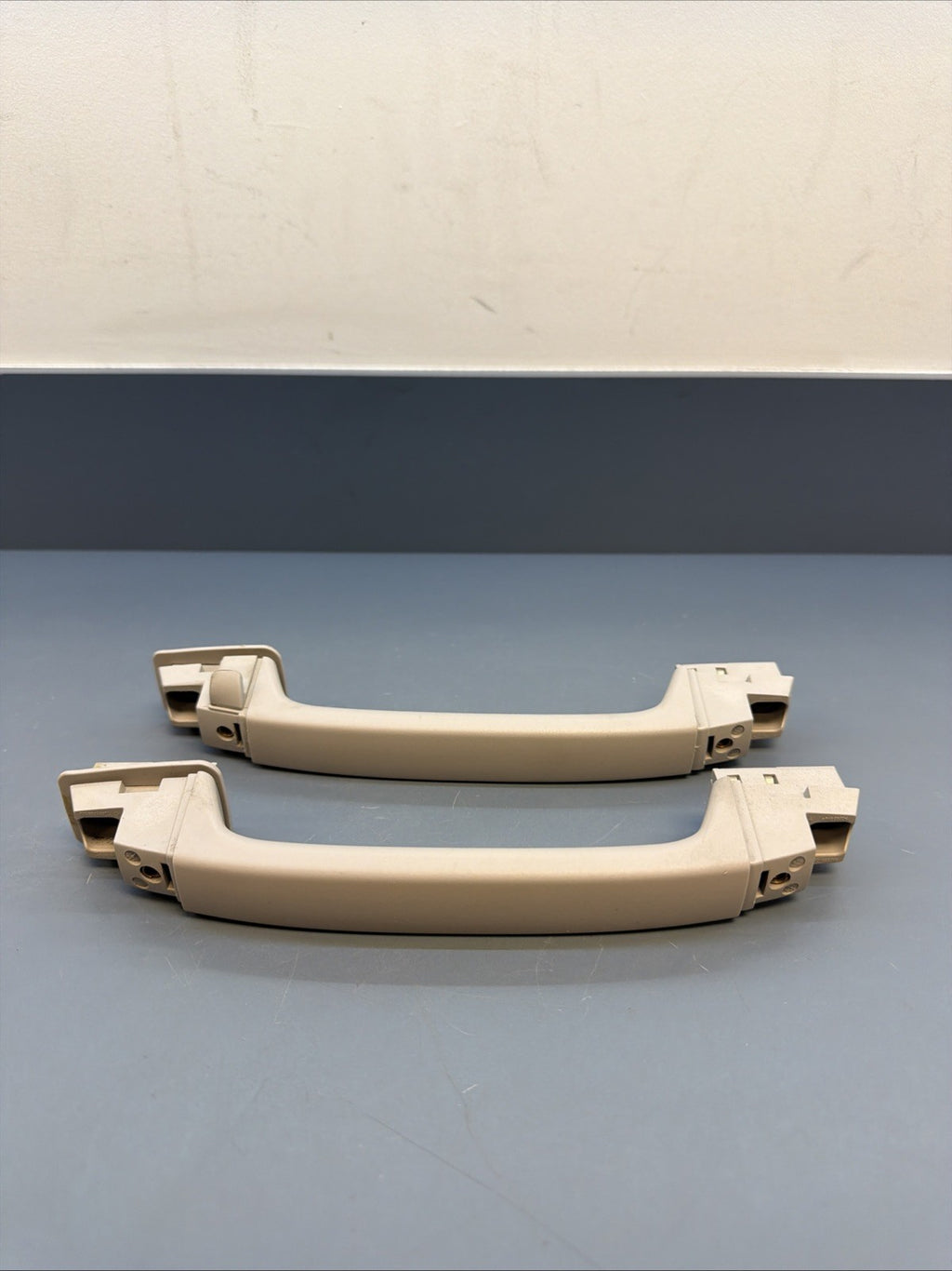 2004 - 2010 BMW E83 X3 Overhead Grab Handle SET OF 2 201222012 OEM