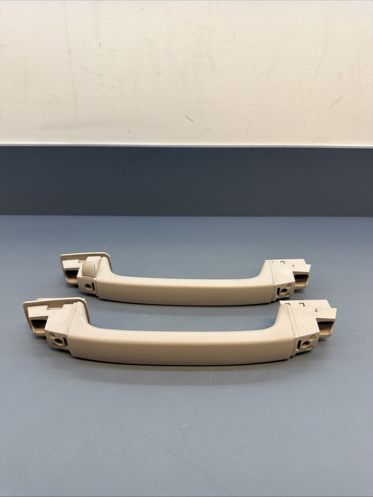 2004 - 2010 BMW E83 X3 Overhead Grab Handle SET OF 2 201222012 OEM