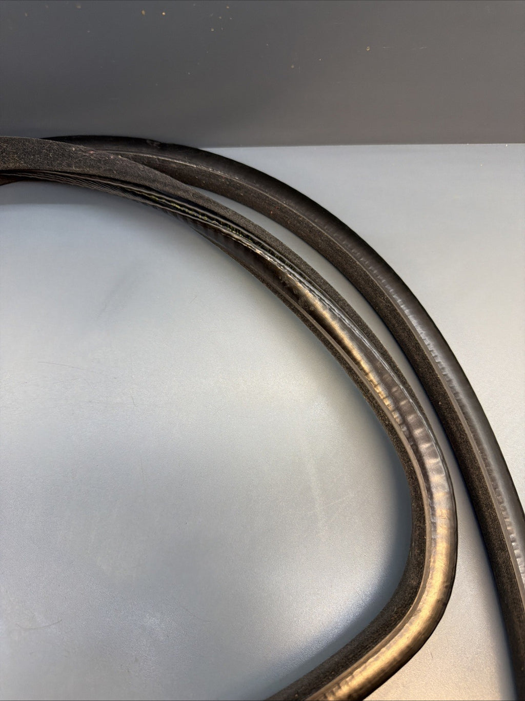 BMW 3 F30 F35 F31 2015 Petrol Seal Rubber for Sunroof 8036477