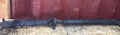 OEM Rear Drive Shaft Prop Drive Shaft For BMW 3 SERIES E46 2611 1229564 RWD