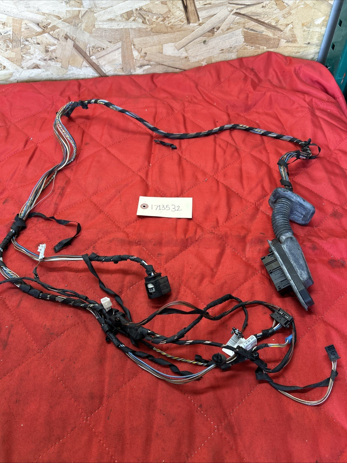 2011-2018 BMW X3 Rear Left Door Wiring 9243667 OEM