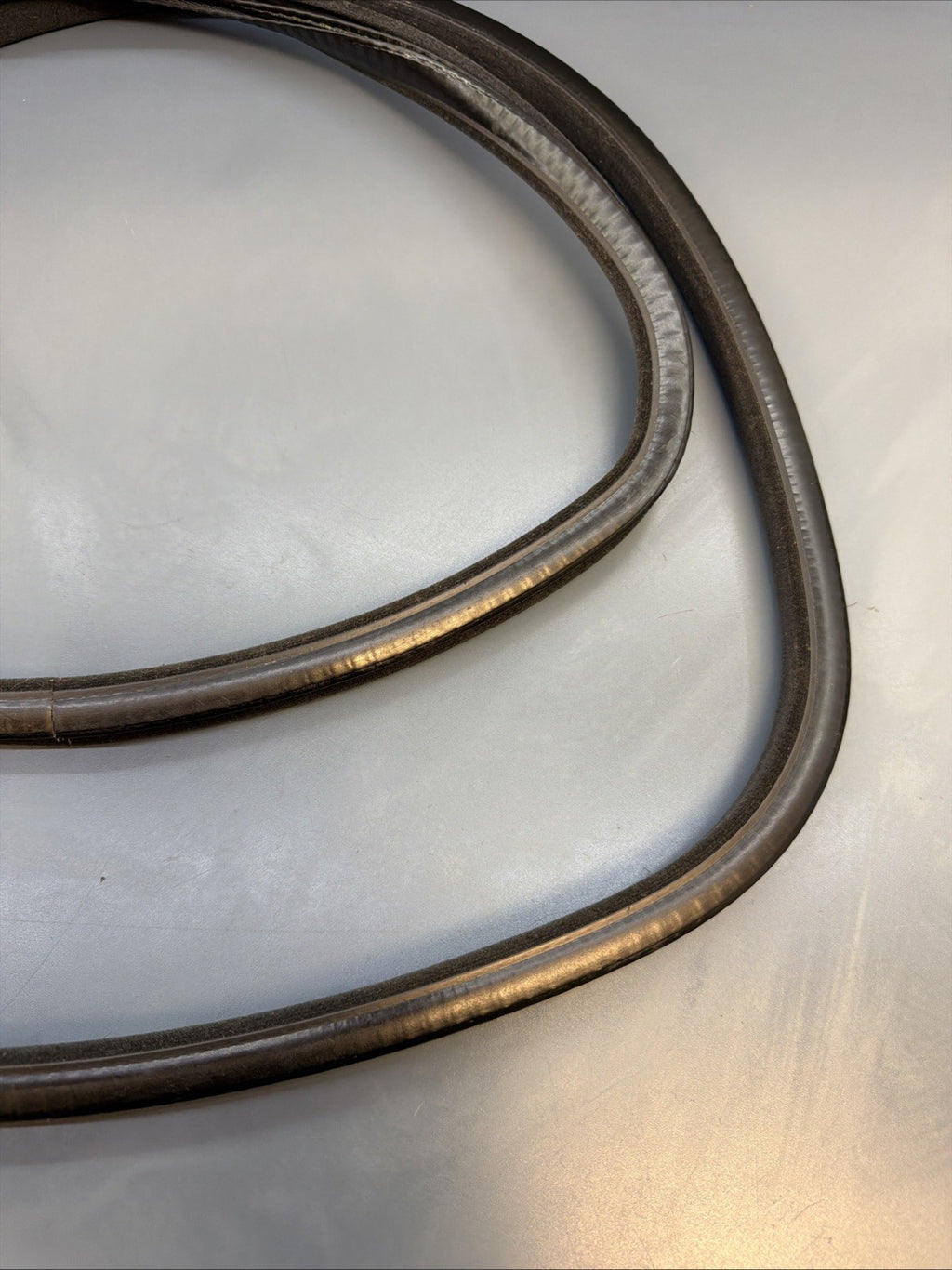BMW 3 F30 F35 F31 2015 Petrol Seal Rubber for Sunroof 8036477