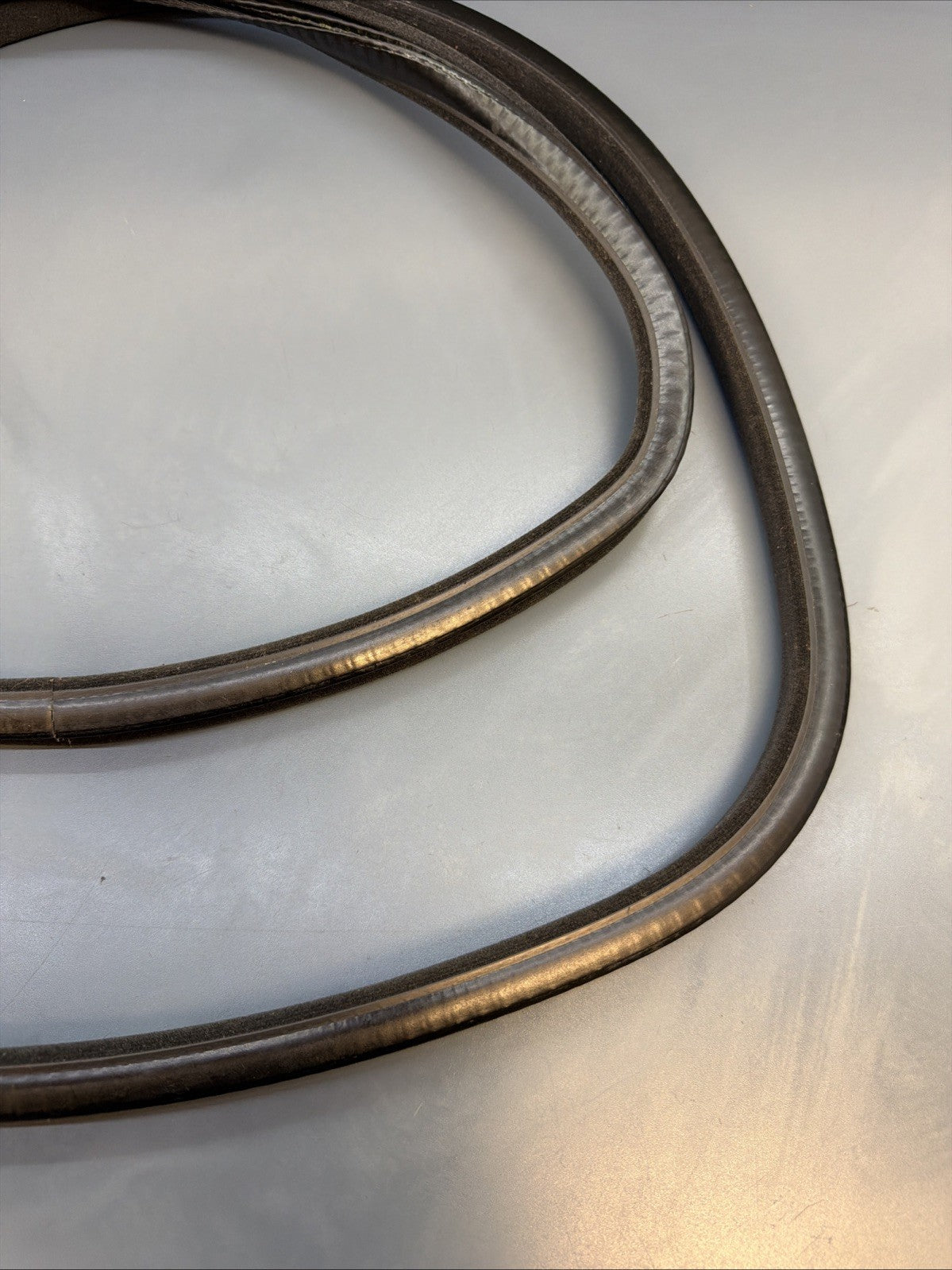 BMW 3 F30 F35 F31 2015 Petrol Seal Rubber for Sunroof 8036477
