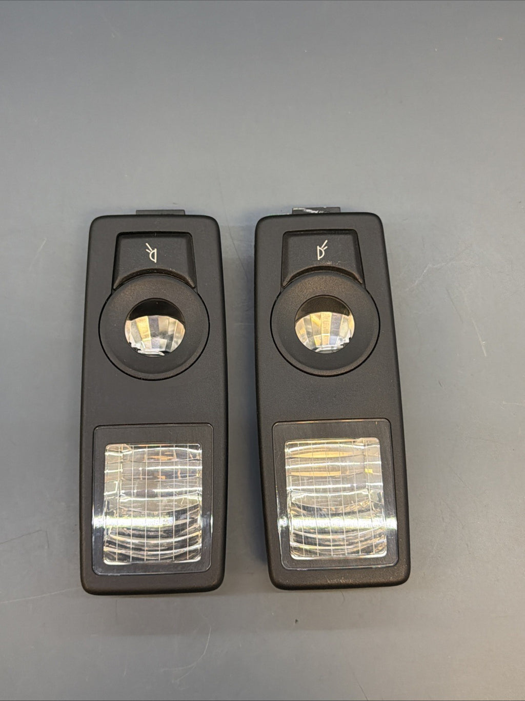 Rear Right & Left Reading Dome Light Lamp Set OEM BMW E70 X5 M 2007-2013 6972972