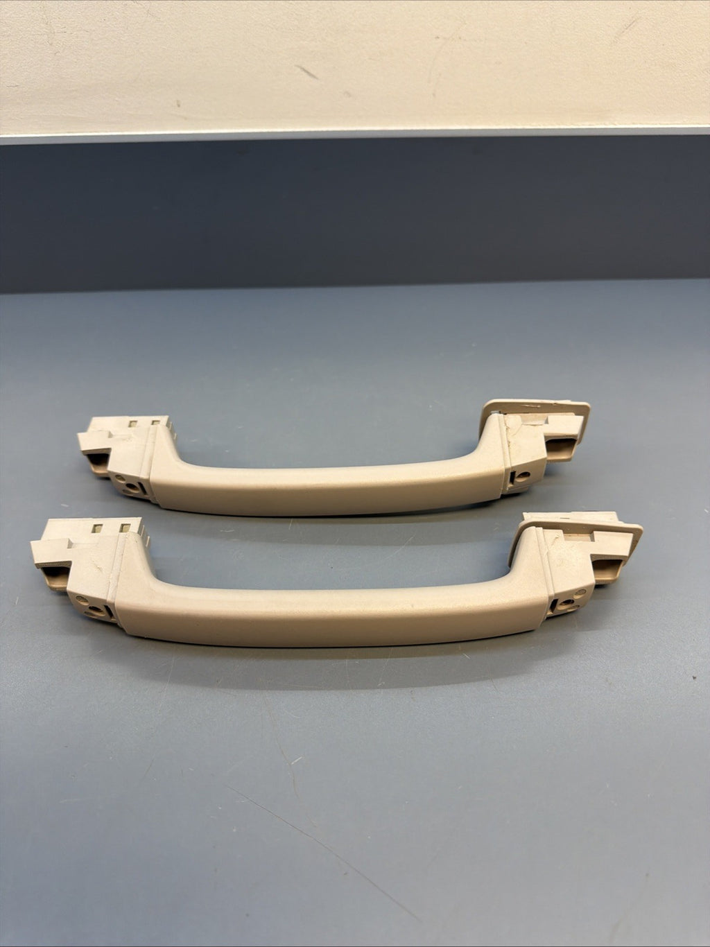 2004 - 2010 BMW E83 X3 Overhead Grab Handle SET OF 2 201222012 OEM