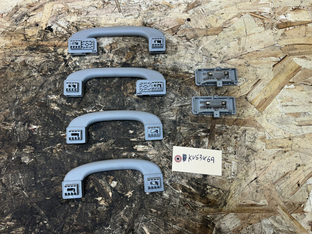 BMW 2006-2012 E90 E9X GRAY GRAB HANDEL SET W READING LIGHTS OEM 7033659