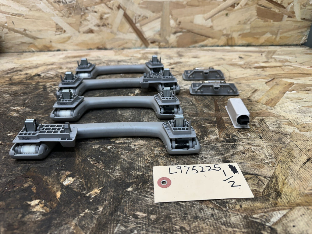 BMW 2011-2017 F25 X3 GRAY GRAB HANDEL+INTERIOR LIGHT SET OEM 06424911